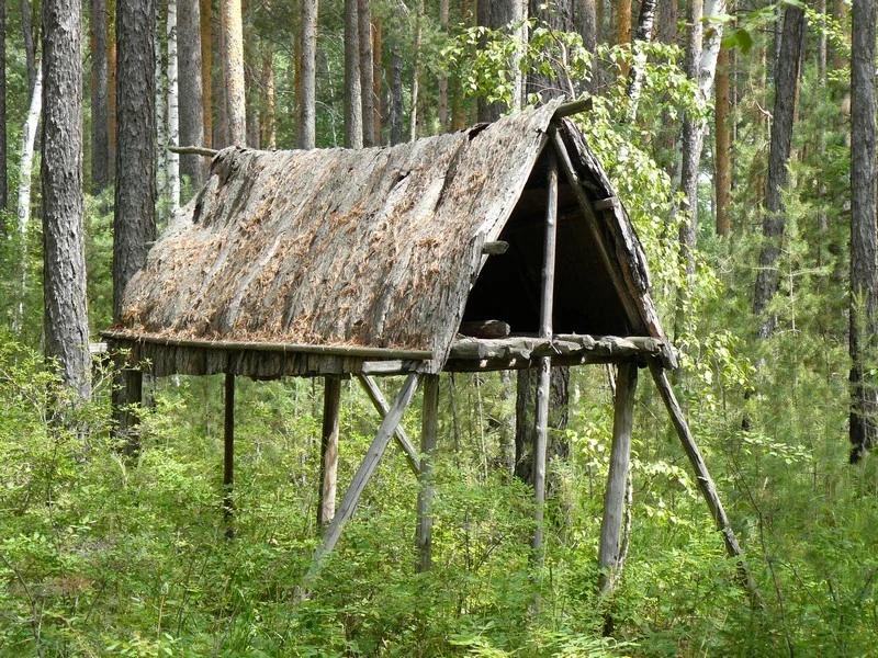 Воссозданный лабаз эвенкийского сектора. Поднятое хранилище отделяет запасы от земли и организует пространство стоянки.