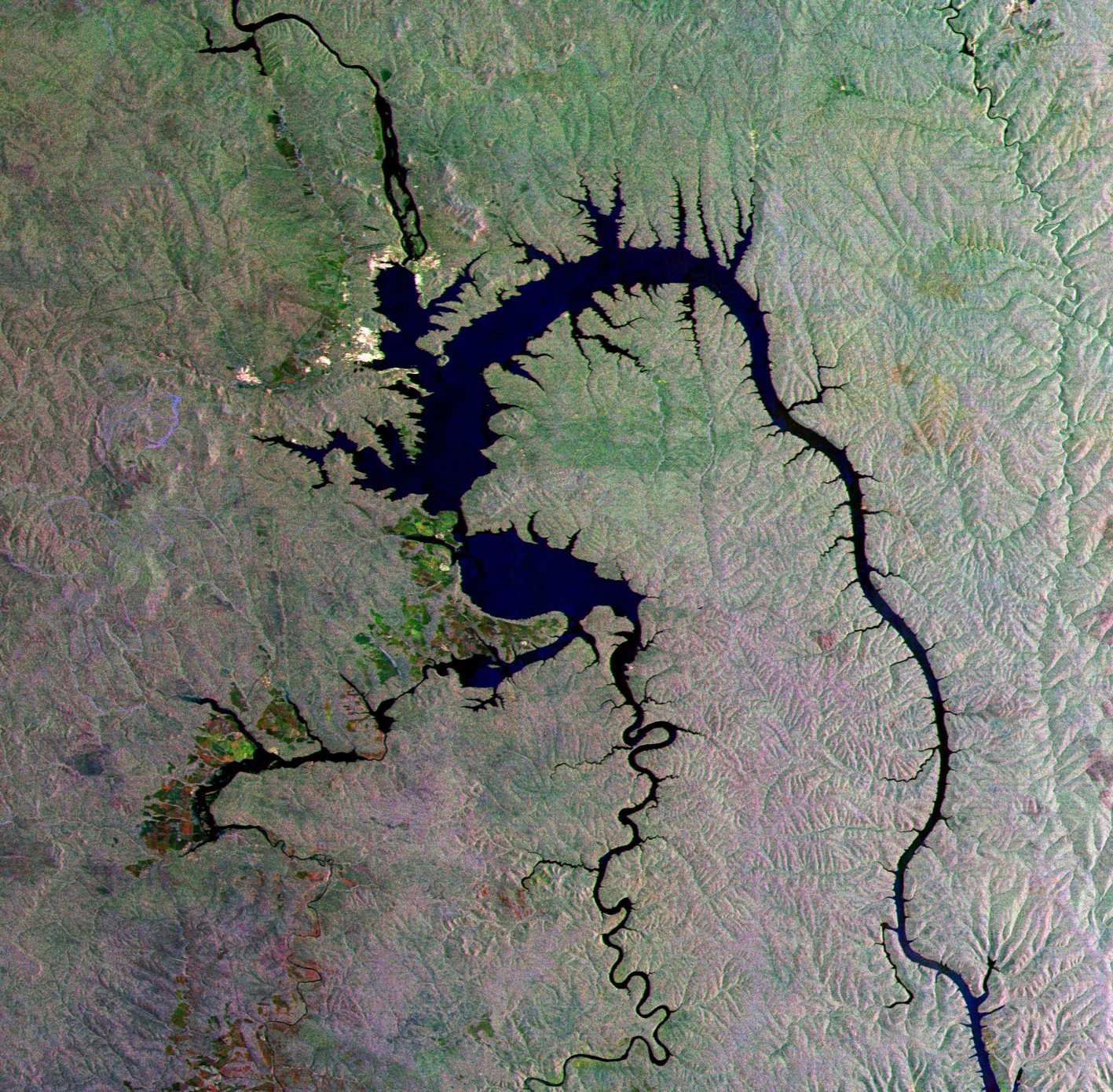 ESA’s radar image “Siberian gecko”, published on 17 December 2010. The branching outline follows inundated valleys. Colours reflect radar imaging and processing, rather than an ordinary natural-colour aerial photograph. Publication is not presented as the exact acquisition date.