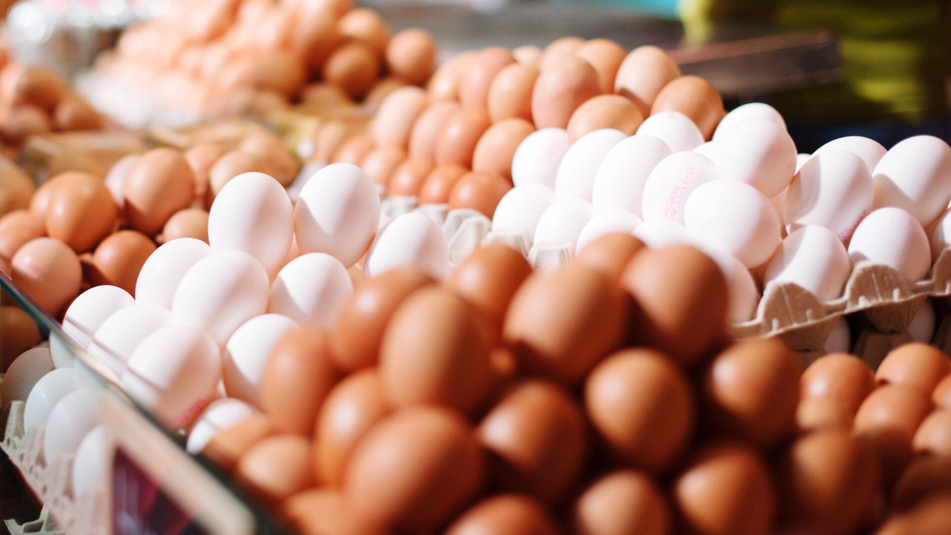 Куриные яйца в Братске подорожали на 46% за последние 12 месяцев