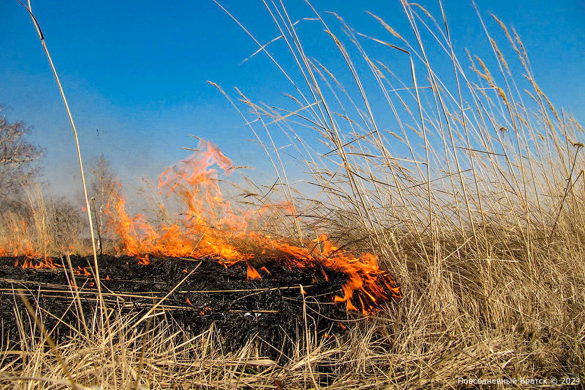 Контролируемые отжиги сухой травы проводят в Братске перед началом особого противопожарного режима