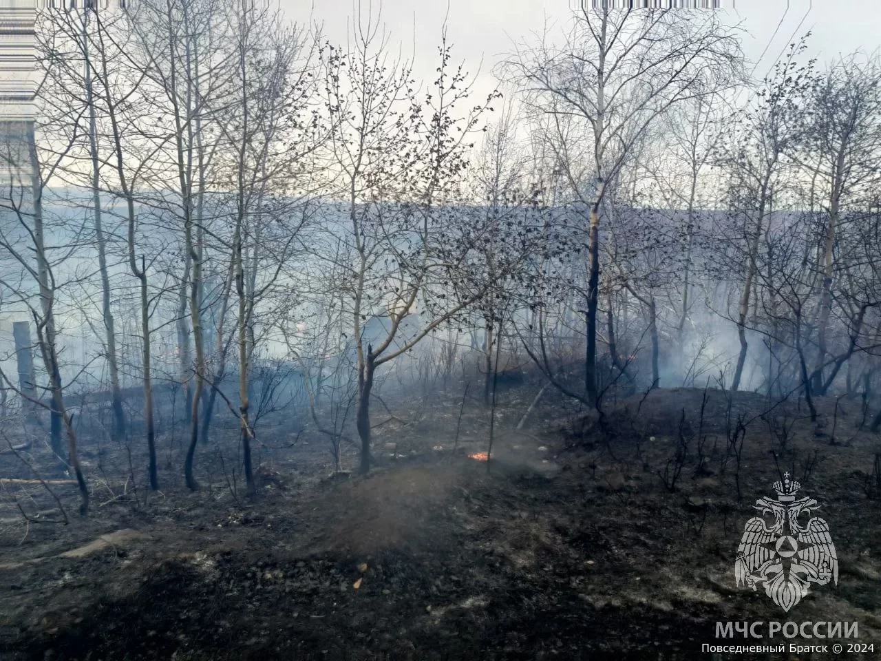Два дачных поселка горели в Братске 29 апреля: подробности пожара